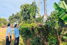 “Chìa khóa” giúp người dân thoát nghèo bền vững 