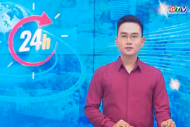 Gia Lai 24h: Cảnh sát giao thông “gọi tên” 12 ô tô vượt đèn đỏ, tổng mức phạt 228 triệu đồng