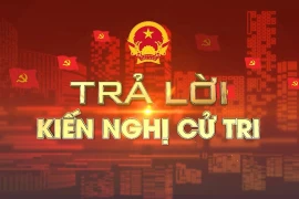 Ủy ban nhân dân tỉnh trả lời kiến nghị của cử tri huyện Kbang, Đak Đoa, Đak Pơ và thị xã An Khê
