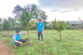 Tuổi trẻ Gia Lai tích cực trồng cây bảo vệ môi trường