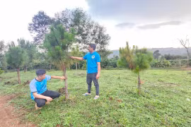 Tuổi trẻ Gia Lai tích cực trồng cây bảo vệ môi trường