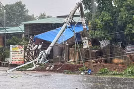 Mưa lớn làm gãy đổ nhiều trụ điện, ảnh hưởng giao thông trên tỉnh lộ 661
