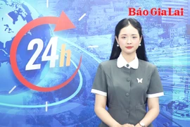 Gia Lai 24h: Cơ quan Ủy ban Mặt trận Tổ quốc Việt Nam tỉnh Gia Lai (mới) dự kiến có 10 ban