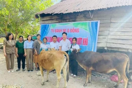 Xóa nhà tạm-Kiến tạo tương lai - Kỳ cuối: Thắp sáng niềm tin, gieo mầm hy vọng