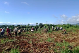 Phụ nữ Kông Chro gây quỹ hỗ trợ hội viên nghèo phát triển kinh tế