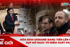 Góc nhìn thế giới 28-12: Hòa đàm Ukraine đang tiến lên hay sụp đổ ngay từ điểm xuất phát?