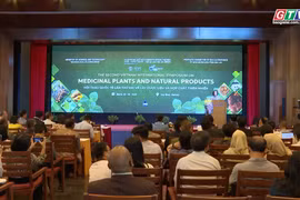 Dược liệu - điểm chạm giữa khoa học và du lịch Gia Lai 2026