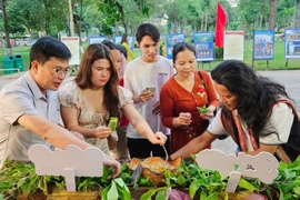Ngày hội Ẩm thực và Triển lãm ảnh Văn hoá-Du lịch tỉnh Gia Lai năm 2025 sắc màu văn hoá và hương vị vùng miền hội tụ