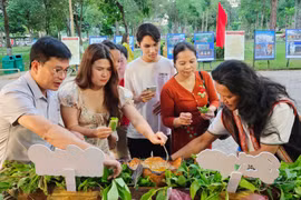 Ngày hội Ẩm thực và Triển lãm ảnh Văn hoá-Du lịch tỉnh Gia Lai năm 2025 sắc màu văn hoá và hương vị vùng miền hội tụ