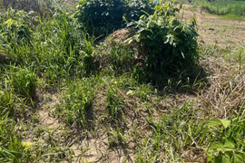 Xã Ya Hội tìm thân nhân 2 ngôi mộ cần di dời để thi công cao tốc Quy Nhơn-Pleiku