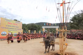 Phục dựng lễ “Mừng chiến thắng” của người Bahnar ở làng Đăk A Sêl. Ảnh: Ngọc Minh