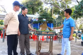 Duối bonsai hút khách dịp Tết. Ảnh: Ngọc Minh