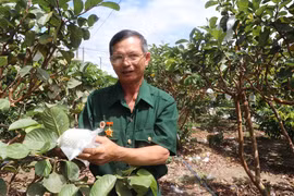 Cựu chiến binh Nguyễn Văn Khởi nêu gương sáng làm theo Bác. Ảnh: Ngọc Minh