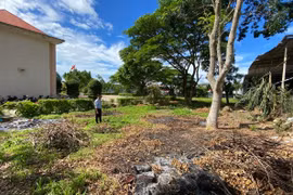 Nhiều cây xanh trong khuôn viên xã Đông (cũ) bị cắt làm củi. Ảnh: Ngọc Minh