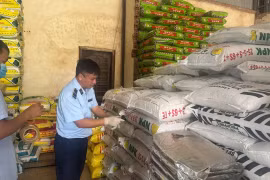 Lực lượng Quản lý thị trường tỉnh Gia Lai đã xử phạt nhiều cơ sở bán phân bón không đạt chuẩn, với số tiền hàng trăm triệu đồng.