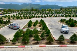 Áp dụng Thông tư 154/2025/TT-BTC, từ năm 2026 người dân được giảm phí cấp đổi bằng lái, trường hợp bỏ thi chịu mất phí đã nộp.