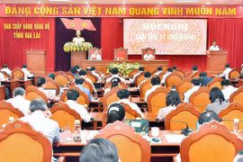 Khai mạc hội nghị lần thứ 17 Ban Chấp hành Đảng bộ tỉnh khóa XVI (mở rộng)