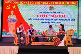 Nghe nông dân Jrai, Bahnar kể chuyện làm giàu