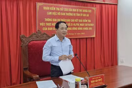 Đoàn kiểm tra của Ban Bí thư làm việc với Ban Thường vụ Tỉnh ủy Gia Lai