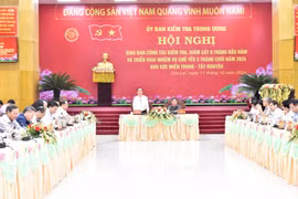 Giao ban công tác kiểm tra, giám sát khu vực miền Trung-Tây Nguyên