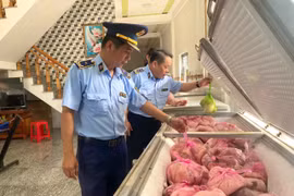 Gia Lai: Phát hiện hơn 4 tấn thịt heo không rõ nguồn gốc, xuất xứ