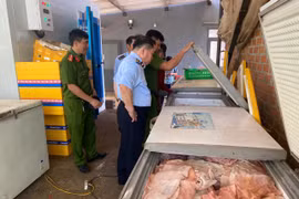 Gia Lai quyết liệt ngăn chặn thịt heo bẩn tuồn ra thị trường