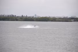 Chủ tịch tỉnh Gia Lai yêu cầu khẩn trương hỗ trợ, tìm kiếm tàu cá BĐ 97258-TS bị mất liên lạc