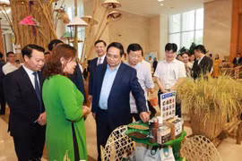 Gia Lai: Mở rộng chuỗi giá trị OCOP, hướng đến thị trường xuất khẩu