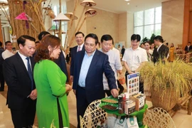 Gia Lai: Mở rộng chuỗi giá trị OCOP, hướng đến thị trường xuất khẩu