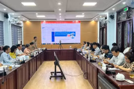 Trồng và chế biến sản phẩm thương mại từ cây đảng sâm theo tiêu chuẩn GACP-WHO