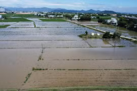 Xây dựng kênh thoát nước tại phường Quy Nhơn Đông để giải quyết tình trạng ngập úng