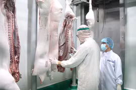 Gia Lai: 26 cơ sở kinh doanh sản phẩm thịt heo được cấp chứng nhận an toàn thực phẩm