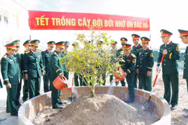 Cán bộ và chiến sĩ Sư đoàn 31, thuộc Quân đoàn 34 đóng quân tại xã Tuy Phước Tây, đồng loạt ra quân thực hiện Lễ phát động Tết trồng cây đời đời nhớ ơn Bác Hồ vào sáng mùng 3 Tết Bính Ngọ