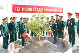Cán bộ và chiến sĩ Sư đoàn 31, thuộc Quân đoàn 34 đóng quân tại xã Tuy Phước Tây, đồng loạt ra quân thực hiện Lễ phát động Tết trồng cây đời đời nhớ ơn Bác Hồ vào sáng mùng 3 Tết Bính Ngọ