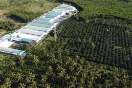 Kỳ vọng phát triển nông nghiệp bền vững, lấy người dân làm trung tâm.