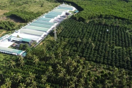 Kỳ vọng phát triển nông nghiệp bền vững, lấy người dân làm trung tâm.