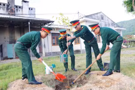 Lữ đoàn 573 phát động phong trào “Tết trồng cây đời đời nhớ ơn Bác Hồ”