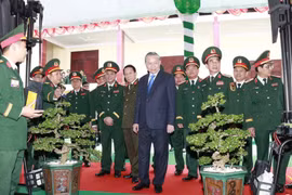 Bộ CHQS tỉnh Gia Lai tham gia Hội thi trưng bày ảnh đẹp và tiểu cảnh, chậu hoa đẹp của Quân khu 5.