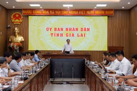 UBND tỉnh triển khai Đề án hỗ trợ phát triển doanh nghiệp tiên phong giai đoạn 2026-2030.