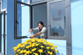 Hồi sinh sau bão lũ, rộn ràng đón Xuân.