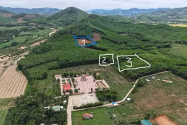 Ứng dụng khoa học công nghệ để tìm kiếm, quy tập hài cốt liệt sĩ tại đồi Xuân Sơn