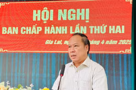 Hội nghị Ban Chấp hành lần thứ hai Đảng bộ các cơ quan Đảng tỉnh Gia Lai