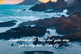 Hành trình nhặt “vàng đen” giữa sóng gió ở vùng biển Nhơn Lý