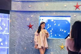 Độc đáo những quán cà phê như thủy cung thu nhỏ giữa lòng thành phố