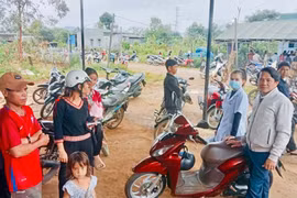 Gia Lai: 1 bé trai 6 tuổi tử vong do bệnh dại