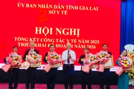 Gia Lai thực hiện đạt và vượt 8/9 chỉ tiêu lĩnh vực y tế - dân số 