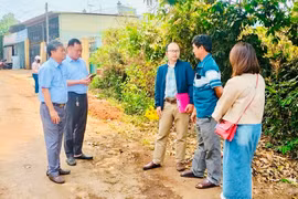 Giai đoạn 2019-2024, thành phố Pleiku ghi nhận 5 ca tử vong do bệnh dại