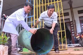 Gia Lai ghi nhận trên 200 ca mắc sốt xuất huyết mỗi tuần