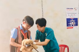 Trung tâm Kiểm soát bệnh tật tỉnh Gia Lai đã cấp 430 tờ áp phích tuyên truyền phòng- chống bệnh dại cho 12 Trung tâm y tế huyện trên địa bàn tỉnh. Ảnh: N.N