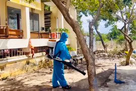 Gia Lai bãi bỏ 4 danh mục thủ tục hành chính trong lĩnh vực phòng bệnh